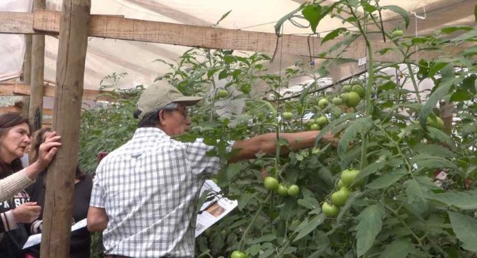 Proyecto de manejo de suelo y gestión hídrica beneficiará a productores del Maule