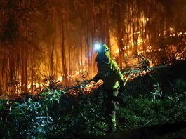 Qué propone el proyecto de Ley de Incendios que el Gobierno pide aprobar con urgencia