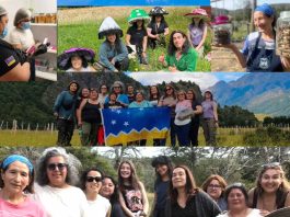 Recolectoras de frutos y hongos de Magallanes realizan gira de innovación biosilvestre INIA-FIA a Aysén
