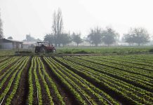 Refuerzan llamado preventivo a aplicar Faena Cero para reducir el riesgo de incendios forestales en Biobío Refuerzan llamado preventivo a aplicar Faena Cero para reducir el riesgo de incendios forestales en Biobío