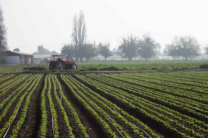 Refuerzan llamado preventivo a aplicar Faena Cero para reducir el riesgo de incendios forestales en Biobío