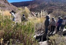 Riego en el desierto CNR entrega 19 diseños para obras hídricas en Huara y Pozo Almonte