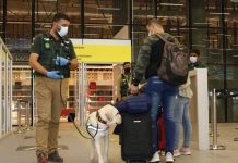 SAG recuerda a pasajeros/as respetar prohibición de ingreso de productos porcinos desde España por riesgo de peste porcina africana