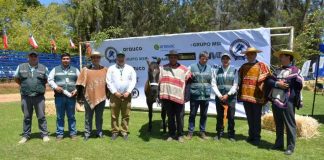 SAG refuerza control de Anemia Infecciosa Equina en Ñuble con más de 3.300 muestreos y fuerte despliegue territorial