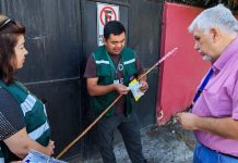 SAG refuerza vigilancia permanente contra la mosca de la fruta en Ñuble por riesgo estacional SAG refuerza vigilancia permanente contra la mosca de la fruta en Ñuble por riesgo estacional