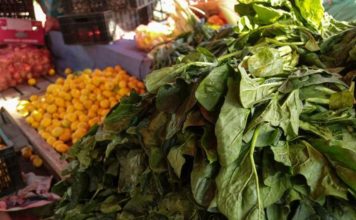 Situación de los mercados ante la emergencia por incendios