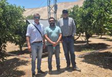 El proyecto, financiado por el programa Innova Región de Corfo, se ejecuta en la planta de compostaje Don Salomón, de la agricultora Liliana Trigo. La iniciativa surge de un dolor real del territorio: la dependencia de compost traído del sur