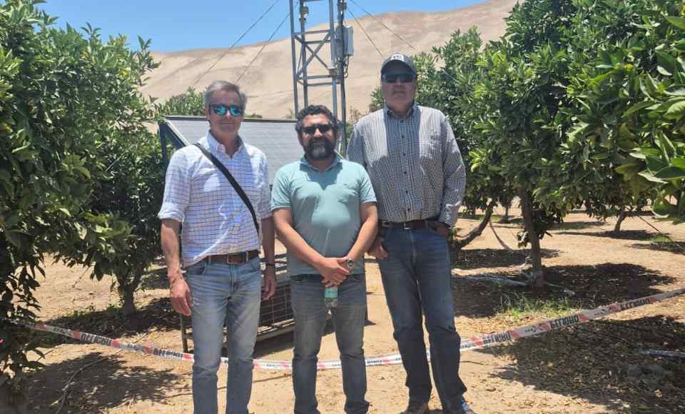 El proyecto, financiado por el programa Innova Región de Corfo, se ejecuta en la planta de compostaje Don Salomón, de la agricultora Liliana Trigo. La iniciativa surge de un dolor real del territorio: la dependencia de compost traído del sur