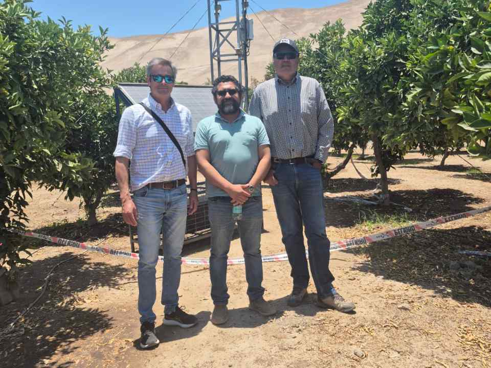 El proyecto, financiado por el programa Innova Región de Corfo, se ejecuta en la planta de compostaje Don Salomón, de la agricultora Liliana Trigo. La iniciativa surge de un dolor real del territorio: la dependencia de compost traído del sur