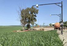 Una plataforma inteligente estima el riego diario y ahorra un 32% de agua