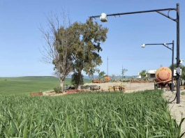 Una plataforma inteligente estima el riego diario y ahorra un 32% de agua Una plataforma inteligente estima el riego diario y ahorra un 32% de agua