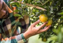 Urgencia en la regularización de las OUA se vuelve clave para el sector productivo en la Región de Valparaíso