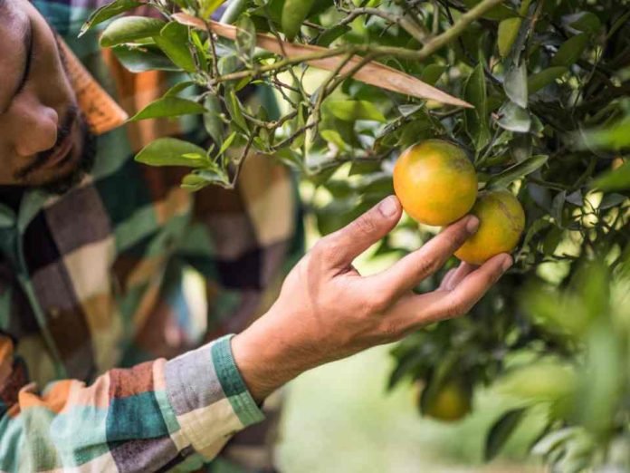 Urgencia en la regularización de las OUA se vuelve clave para el sector productivo en la Región de Valparaíso