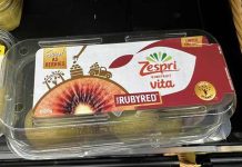 Zespri apunta al crecimiento del kiwi en Nueva Zelanda durante los próximos cinco años Zespri apunta al crecimiento del kiwi en Nueva Zelanda durante los próximos cinco años