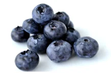 Canadá: Sequía golpea a productores de arándanos de Nueva Escocia. Producción disminuye 50% Canadá: Sequía golpea a productores de arándanos de Nueva Escocia. Producción disminuye 50%