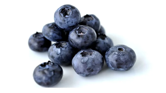 Canadá: Sequía golpea a productores de arándanos de Nueva Escocia. Producción disminuye 50%