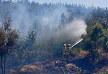 Ministerio de Agricultura declara emergencia agrícola para la Región del Biobío como consecuencia de los incendios forestales Ministerio de Agricultura declara emergencia agrícola para la Región del Biobío como consecuencia de los incendios forestales