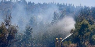 Ministerio de Agricultura declara emergencia agrícola para la Región del Biobío como consecuencia de los incendios forestales