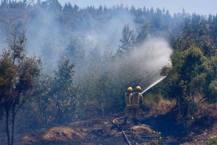 Ministerio de Agricultura declara emergencia agrícola para la Región del Biobío como consecuencia de los incendios forestales Ministerio de Agricultura declara emergencia agrícola para la Región del Biobío como consecuencia de los incendios forestales