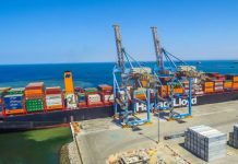 Puerto de Paita envía cerca de la mitad de arándanos exportados por Perú en el 2025