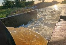 Productores de arroz de San Javier reclaman cambios urgentes en contratos eléctricos por crisis energética