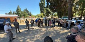 2,5 toneladas de alimento para aves llegan a productores afectados por incendios en Ñuble