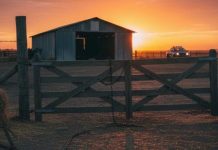 2DO Barómetro de Robo Agrícola elaborado por la Sociedad Nacional de Agricultura