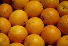 ASAJA Murcia califica como “una temeridad y un gran peligro” la entrada de naranjas de Egipto con residuos prohibidos al mercado europeo ASAJA