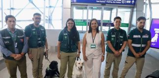 Aeropuerto de Santiago: SAG registra casi 10 mil mascotas arribadas y enfatiza importancia del certificado zoosanitario