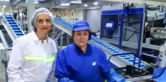 Agenda de Competitividad Agroexportadora Sustentable impulsa alza de 6,5% en exportaciones y récord sobre US$ 20.500 millones