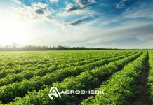 Agrocheck: Software agrícola líder en el control de cosecha y la gestión de labores en Chile