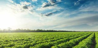 Agrocheck: Software agrícola líder en el control de cosecha y la gestión de labores en Chile