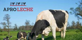 Aproleche Osorno estrena su nueva imagen de marca