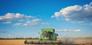 Argentina | Del desafío familiar a una app clave para el agro