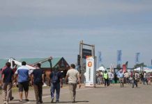 Argentina | En pleno boom ganadero, las razas multiplican su presencia