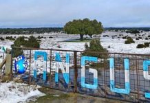 Argentina | Hizo punta exportando embriones y ahora tiene su propia cabaña Angus en España