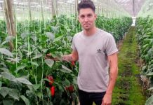 Argentina | Una visita al emprendimiento de hidroponia hortícola más grande y curioso del país Argentina Una visita al emprendimiento de hidroponia hortícola más grande y curioso del país