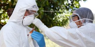 Argentina | Vuelven los hombres de blanco y el sacrificio de pollos: Primero fueron los cisnes y un rato después se confirmó la temible Influenza Aviar H5