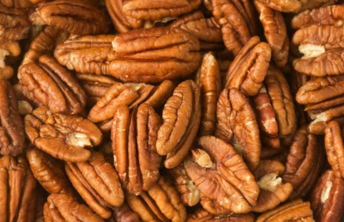 Argentina será sede del IV Simposio Sudamericano de Pecán