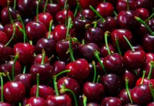 Auge de las cerezas chilenas en China: exportaciones récord y precios más bajos Auge de las cerezas chilenas en China: exportaciones récord y precios más bajos