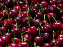 Las investigaciones de mercado sugieren que los compradores vietnamitas se están volviendo más selectivos en sus elecciones de alimentos, haciendo hincapié en la confianza en el origen. Imagen: Adobe Stock Según Summerfruit New Zealand, un nuevo estudio de mercado sobre la alimentación y el comercio minorista en Vietnam, un sector en rápida evolución, ha puesto de manifiesto las oportunidades a largo plazo que existen para las cerezas de Nueva Zelanda. La investigación se llevó a cabo con el apoyo de Summerfruit New Zealand y New Zealand Trade and Enterprise (NZTE). La investigación fue realizada por Cimigo, una destacada empresa independiente de investigación de mercado con sede en Asia. “Esto demuestra que los consumidores vietnamitas se están volviendo cada vez más selectivos y se guían por la relación calidad-precio en sus elecciones alimentarias, con un énfasis creciente en la seguridad alimentaria, la consistencia del producto y la confianza en el origen”, dijo Raj Singh, gerente comercial de Summerfruit Nueva Zelanda. “Estos cambios están creando condiciones favorables para la fruta importada de primera calidad, que puede demostrar claramente su calidad y fiabilidad. “Vietnam ya no es un mercado impulsado únicamente por la novedad. Los consumidores son más exigentes, sobre todo cuando se trata de alimentos frescos para familias, regalos y ocasiones especiales. Esto beneficia directamente a las cerezas de Nueva Zelanda.” La investigación de Cimigo destaca que, a medida que aumentan los ingresos y el comercio minorista moderno continúa expandiéndose, los consumidores vietnamitas priorizan cada vez más la confianza en la seguridad alimentaria y los estándares de producción, las indicaciones claras del país de origen, la calidad constante de los alimentos, el respaldo del minorista y la presentación. La investigación reveló que la fruta importada a menudo no se considera un sustituto de los productos locales, sino una ocasión de consumo aparte, especialmente para regalar, para la salud familiar y en momentos de celebración. “La reputación de Nueva Zelanda en cuanto a sistemas rigurosos de seguridad alimentaria, trazabilidad y producción hortícola de primera calidad conecta fuertemente con estas nuevas expectativas de los consumidores”, dijo Singh. Si bien los consumidores vietnamitas siguen siendo conscientes del precio, la investigación demostró que los productos de alta gama que justifican claramente su valor continúan teniendo un buen desempeño, especialmente en los principales centros urbanos y a través de los canales de venta minorista modernos. Los hallazgos de Cimigo sugieren que los productos importados exitosos son aquellos que logran un equilibrio entre calidad superior y presentación, comunicación clara del valor y suministro confiable y constante. “Esto refuerza la importancia de que las cerezas de Nueva Zelanda se posicionen no solo como de primera calidad, sino también como confiables y seguras”, dijo el Sr. Singh. “La consistencia a lo largo de las temporadas, los tamaños y la calidad de consumo también es fundamental”. La creciente madurez del mercado respalda la estrategia a largo plazo. Además, la investigación indica que el mercado de consumo de Vietnam está madurando rápidamente, comportándose más como una economía consolidada de ingresos medios que como una emergente. Si bien existe cierta cautela por parte de los consumidores a corto plazo, los fundamentos a largo plazo siguen siendo sólidos, respaldados por la urbanización, una creciente clase media y una infraestructura minorista moderna en expansión. “Para los exportadores, no se trata de buscar un volumen a corto plazo”, dijo el Sr. Singh. “Se trata de construir presencia, credibilidad y alianzas en un mercado que claramente se dirige hacia mayores expectativas y estándares más altos”. Oportunidad para las cerezas de Nueva Zelanda Summerfruit New Zealand considera a Vietnam un mercado de importancia estratégica para las cerezas, especialmente durante el período de exportación de Nueva Zelanda, cuando la oferta local es limitada y la demanda de fruta importada de primera calidad es mayor. «Los resultados de esta investigación confirman la dirección que muchos de nuestros exportadores ya están tomando», afirmó el Sr. Singh. «Vietnam premia a los exportadores que invierten en calidad, relaciones y desarrollo de mercado a largo plazo, y las cerezas de Nueva Zelanda están en una posición privilegiada para lograr precisamente eso».