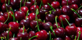 Auge de las cerezas chilenas en China: exportaciones récord y precios más bajos