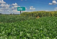 Brasil | Agrotec Cotrisal: conectando produtores, potencializando resultados