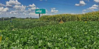 Brasil | Agrotec Cotrisal: conectando produtores, potencializando resultados