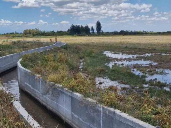 CNR y GORE Ñuble: Publican resultados de concurso que entrega $460 millones en bonos de riego a la pequeña agricultura