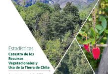 CONAF publica libro digital sobre la superficie vegetacional de Chile