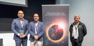 Camposol lanza ORIGEN, su programa global de mejora genética