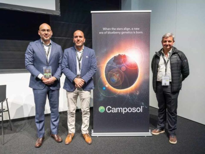 Camposol lanza ORIGEN, su programa global de mejora genética
