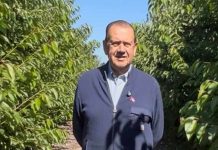 Carlos Fuenzalida León: El apoyo indiscutible de Copefrut y el valor de herededar el oficio frutícola entre los huertos