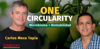 Carlos Meza y la Revolución de One Circularity: Prensa Mexicana destaca el Impacto de la Agricultura Regenerativa en la Rentabilidad del Agro